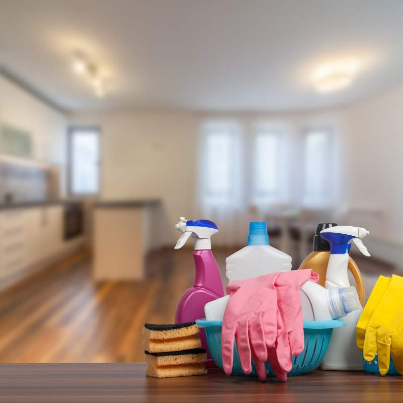 Cleaning Services